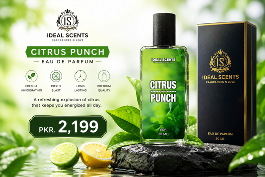 Citrus Punch Inspired by Creed Aventus Perfume for Men | Long-Lasting Fresh Citrus Fragrance | 50ml Eau de Parfum